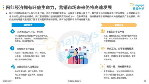 互联网广告营销与信息系统集成服务 现代企业的必备技能