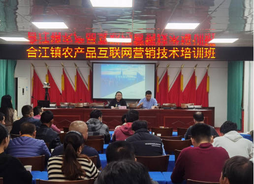 化州市合江镇举办农产品互联网销售与信息系统集成服务培训班